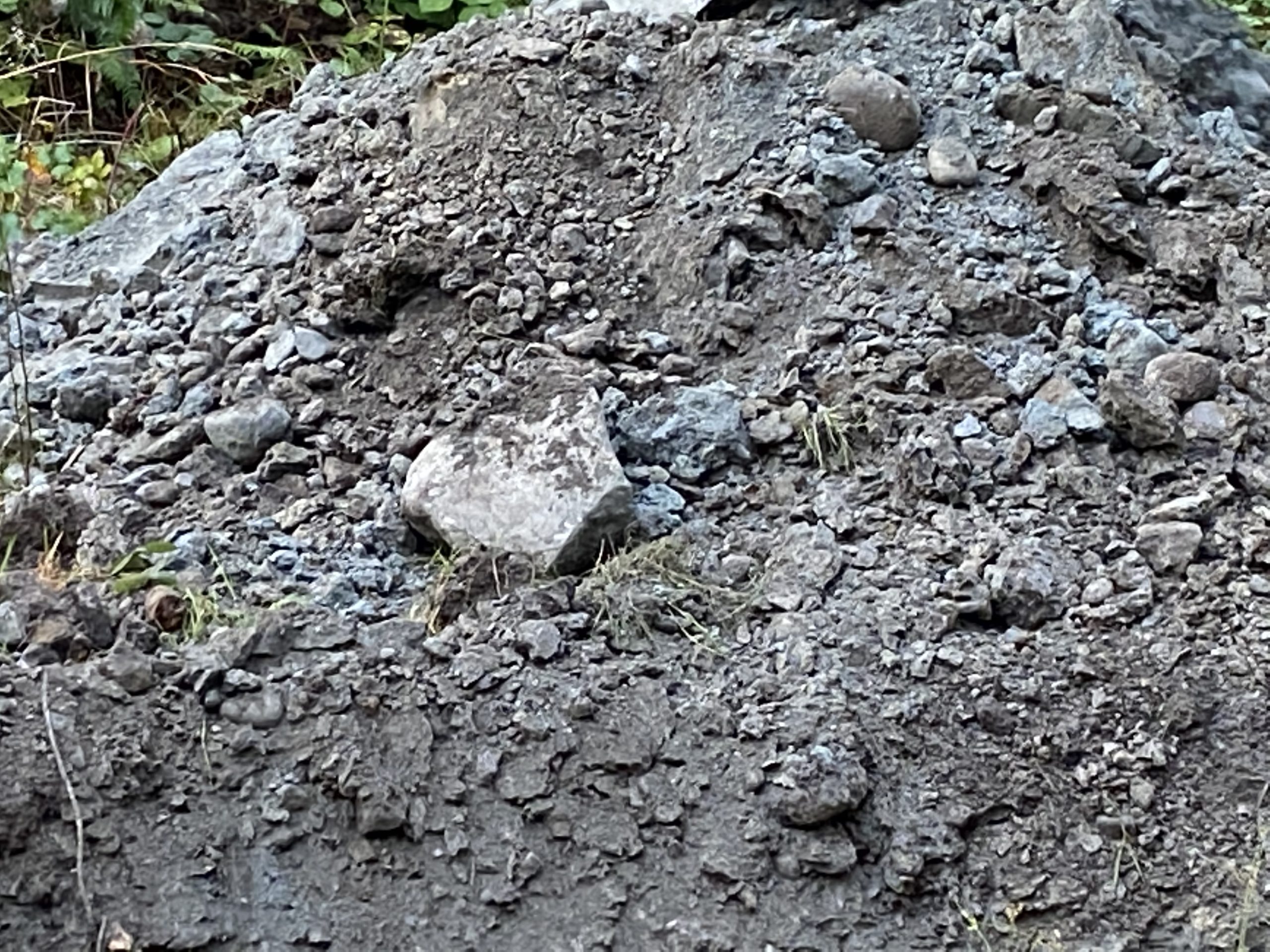 Maplewood environmental project