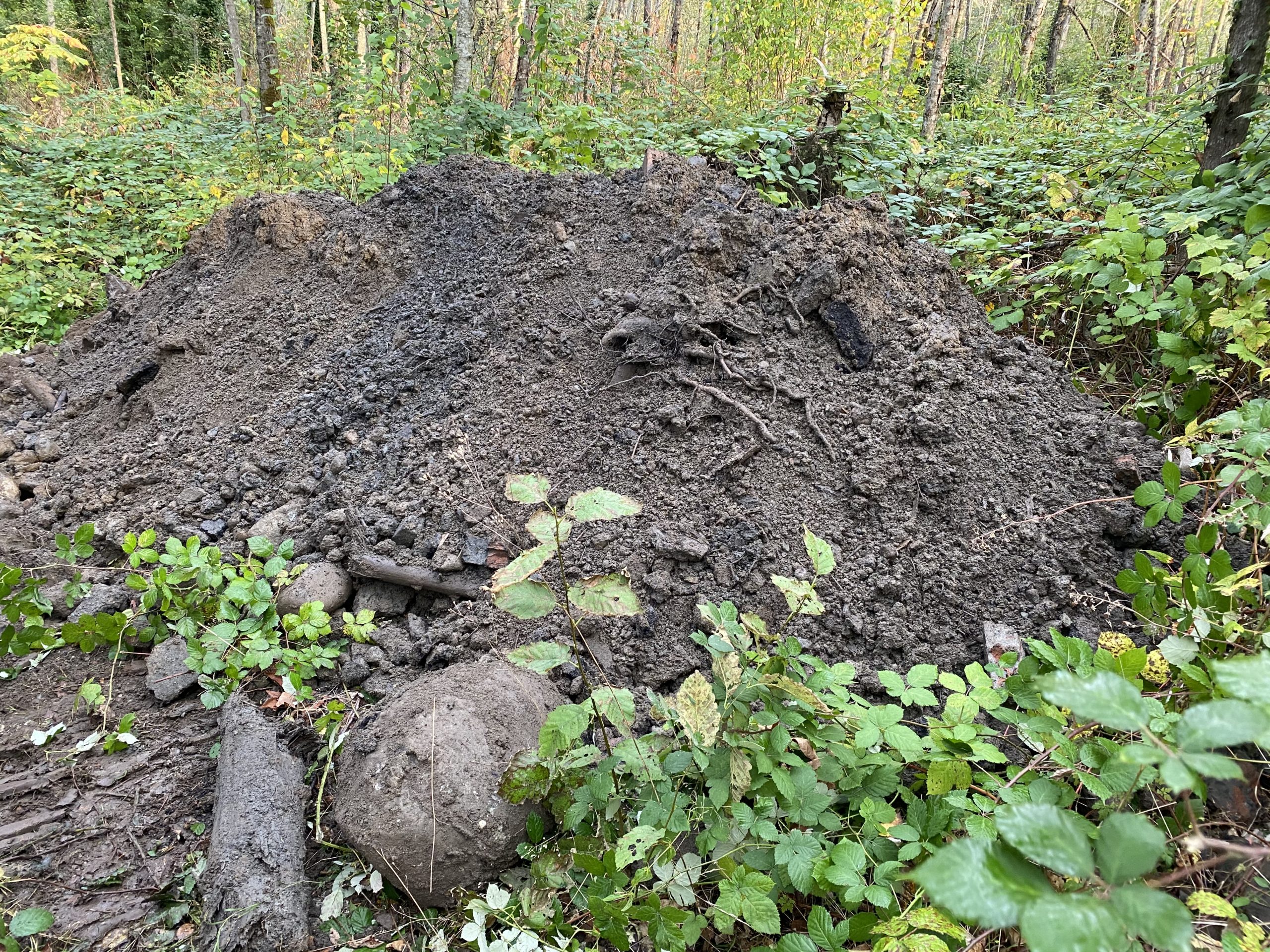 Maplewood environmental project