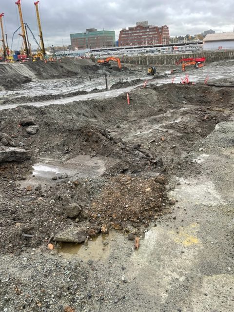 St. Paul's Hospital Environmental Project